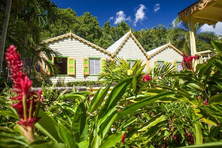 St. Kitts Top Stops: Brimstone Hill, Botanical Gardens & Timothy Hill Scenic Drive photo 2
