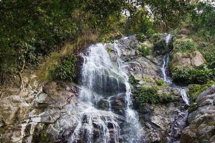Minca Day Trip: Coffee Farm Visit & Waterfalls from Santa Marta photo 6