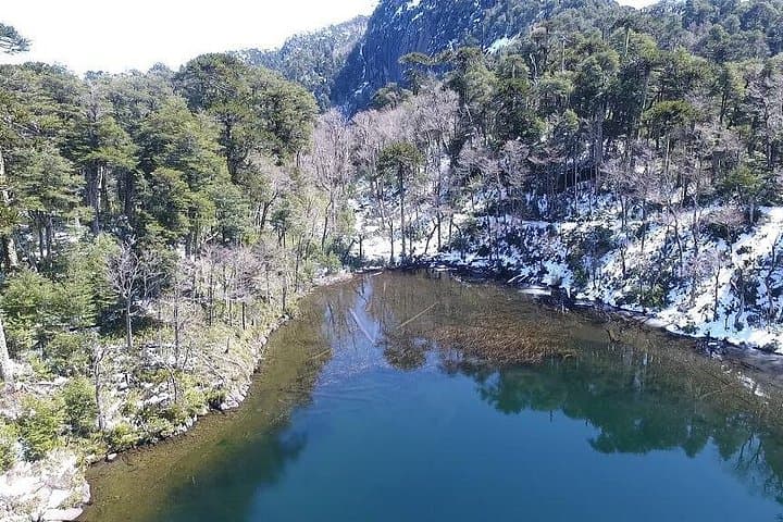Trekking Huerquehue: Day Hike Through Araucaria Forests and Mountain Lagoons