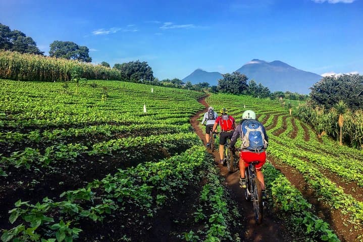 Golden Arches Lujo Mountain Bike Tour from Antigua — Volcán Views photo 2