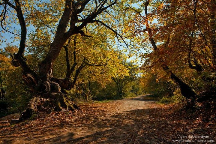 Private Day Tour to Sevan Lake, Dilijan, Haghartsin & Goshavank from Yerevan photo 5