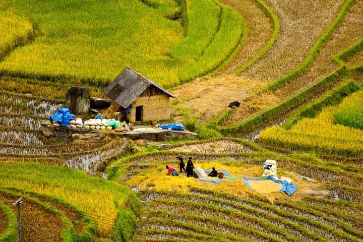 Sapa 2-Day Trek from Hanoi: Y Linh Ho, Lao Chai, Ta Van, Cat Cat & Sin Chai photo 3