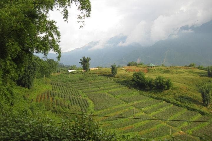 Sapa 2-Day Trek from Hanoi: Y Linh Ho, Lao Chai, Ta Van, Cat Cat & Sin Chai photo 5
