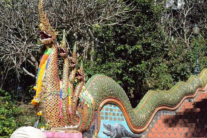 Doi Suthep Monks Trail: Early-Morning Alms Offering Hike in Chiang Mai photo 3