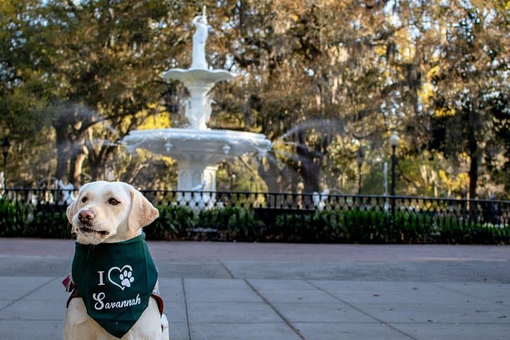 Savannah Photo Session: Forsyth Park, River Street & Historic Squares photo 5