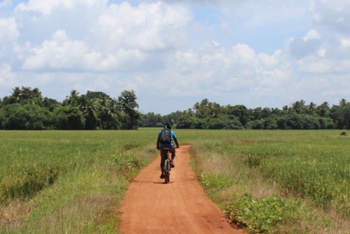 Kuttanad Rice Bowl By Cycle: Morning Bike Tour Through Kerala's Below-Sea-Level Fields photo 3