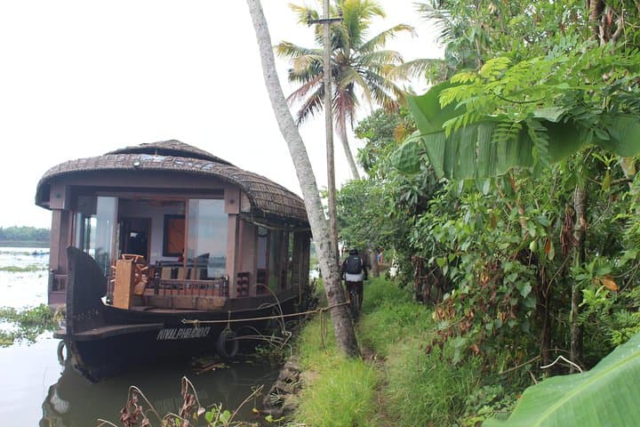 Kuttanad Rice Bowl By Cycle: Morning Bike Tour Through Kerala's Below-Sea-Level Fields photo 6