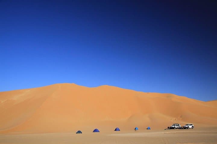 Dubai Evening Desert Safari: Dune Bashing, Camel Ride & BBQ Under the Stars