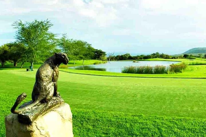 Ultimate South African Golf Tour: Play Top Courses with Luxury Guides photo 6