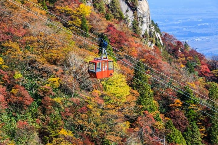 Mt. Gozaisho Ropeway & Nabana no Sato Illumination: Frozen Trees to Sparkling Nights photo 2