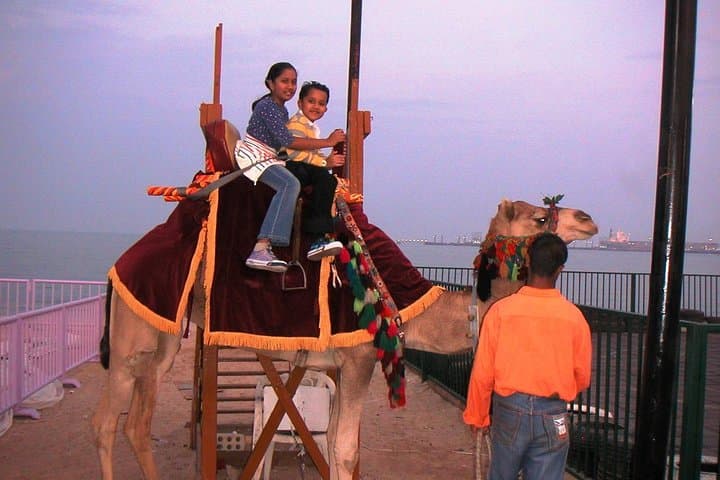 Dubai Desert Safari: Camel Ride, Dune Bashing & BBQ Camp Experience photo 2