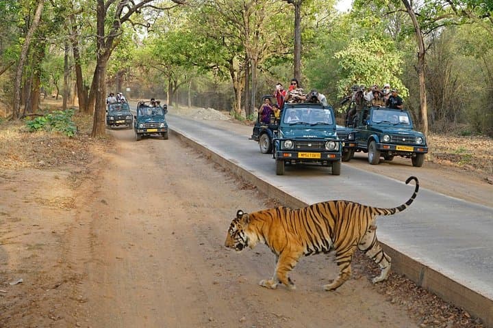 8-Day Golden Triangle & Ranthambore Tiger Safari: Delhi, Agra, Jaipur photo 2