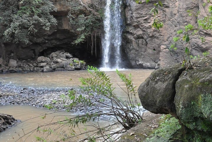 Lake Nakuru Day Trip: Flamingos, Rhinos & Rift Valley Game Drive