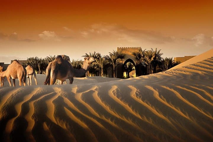 Bab Al Shams Desert Safari & Dinner from Dubai: Evening Dune Bashing, BBQ Buffet, and Live Shows photo 2