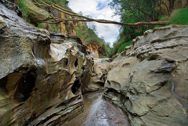 Day Trip to Lake Naivasha & Hell's Gate National Park — Wildlife, Walks & Boat Rides from Nairobi