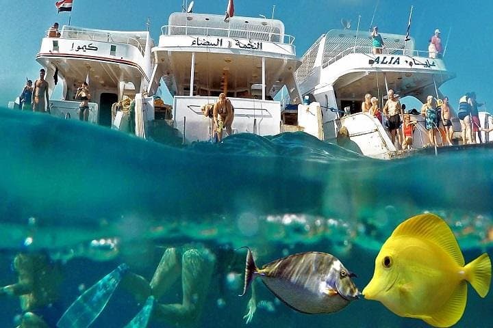 Mahmya Island Snorkeling from Hurghada — Giftun Reefs, Beach Lunch & Clear Water photo 2