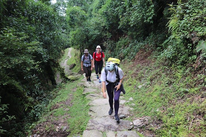 Mardi Himal Base Camp Trek — 5-Day Sunrise Trek from Pokhara
