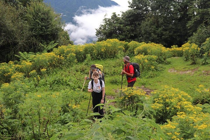 Mardi Himal Base Camp Trek — 5-Day Sunrise Trek from Pokhara photo 4
