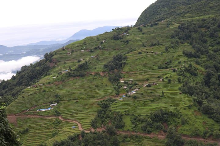 Mardi Himal Base Camp Trek — 5-Day Sunrise Trek from Pokhara photo 5