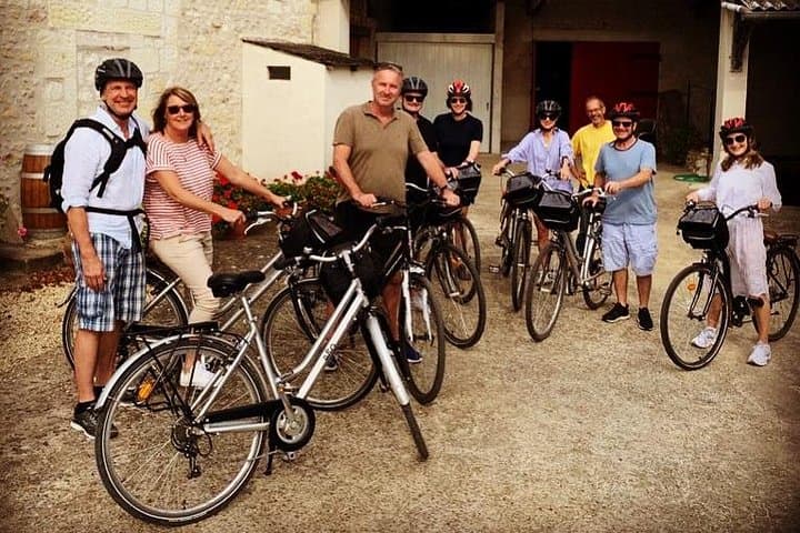 Cycle the Vineyards of Chinon: Full-Day Bike & Wine Tours in the Loire Valley