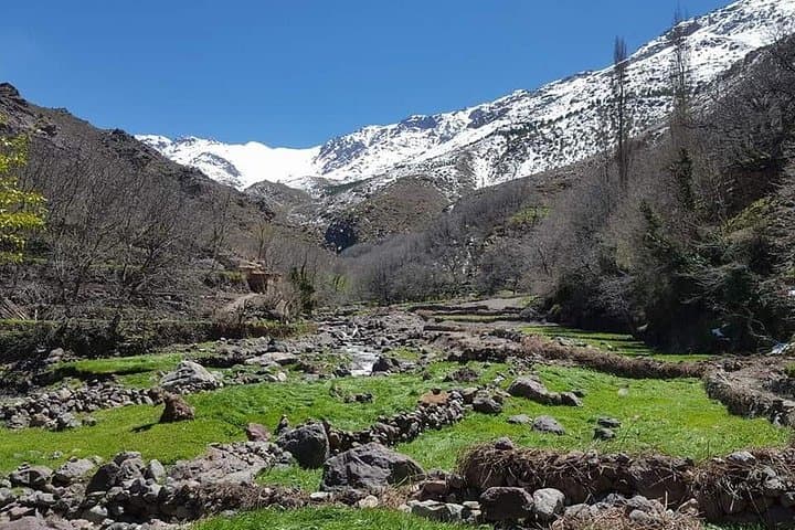 Atlas Mountains Day Trek from Marrakech — Imlil Berber Villages & High Atlas Views photo 3