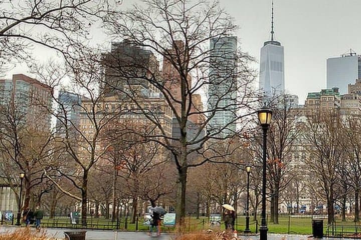 Four-Hour Private NYC Highlights Tour — Up to 5 People photo 3