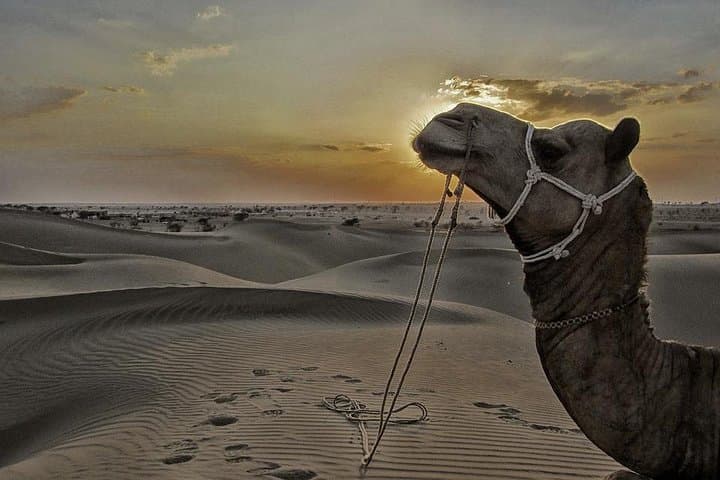 Jaisalmer Fort & Thar Desert Safari: Camel Ride, Kuldhara and Cultural Night photo 2