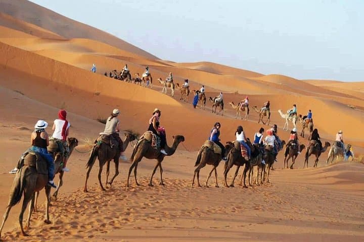 Marrakech and Essaouira: 8-Day Marrakech to the Atlantic Coast Tour photo 1