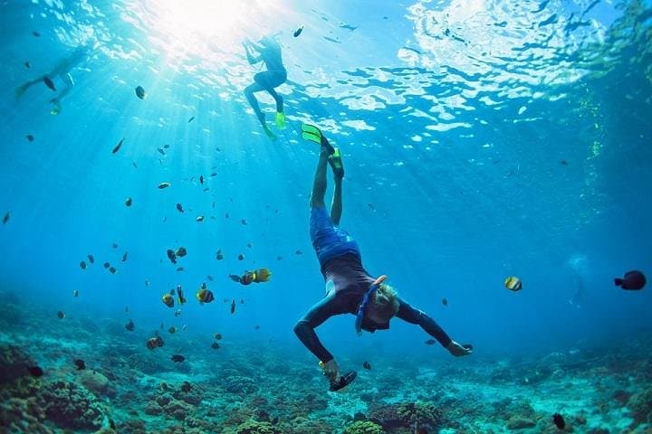 Ras Muhammad by Boat: Full-Day Snorkel & Lunch from Sharm El Sheikh