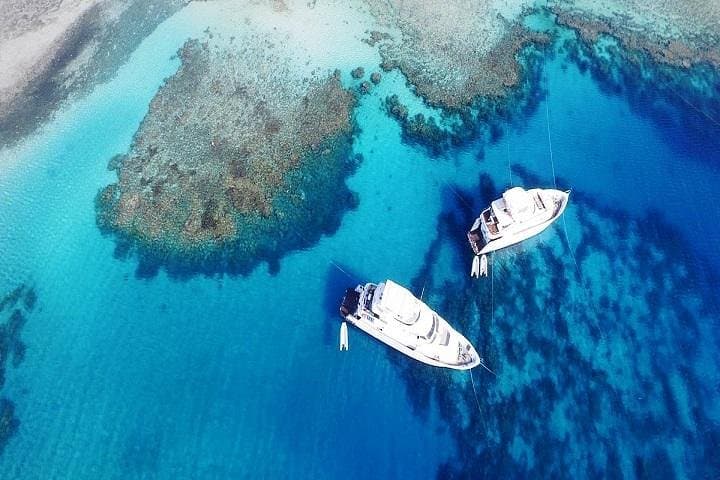Ras Muhammad by Boat: Full-Day Snorkel & Lunch from Sharm El Sheikh photo 2