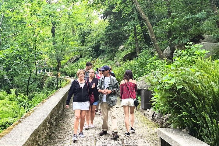Private Sintra Tours and Transfers — Personalized Full-Day Visits to Palaces, Parks & Photo Views