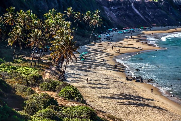 Pipa Beach Day Trip from Natal: Dolphins, Cliffs and Atlantic Forest