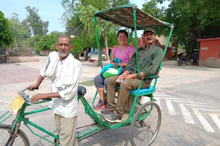 Keoladeo National Park Day Trip from New Delhi: Birdwatching at Bharatpur Sanctuary
