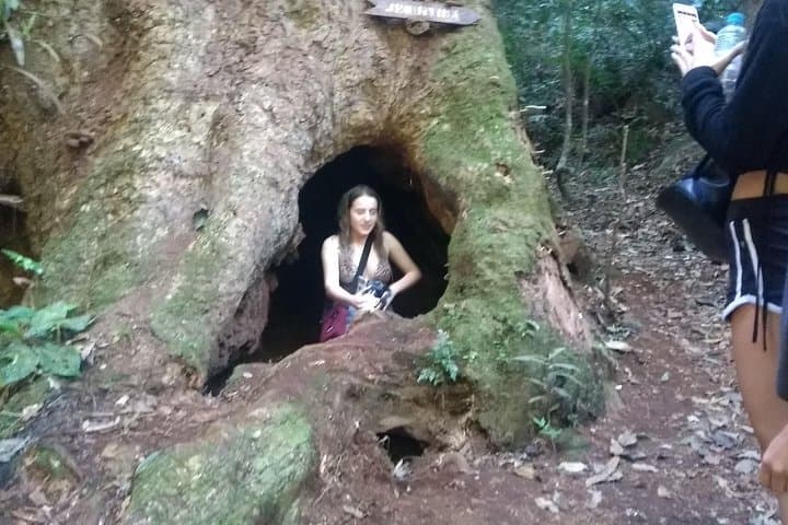 Horto Waterfalls: 5-Falls Walking Route in Tijuca Forest, Rio de Janeiro photo 5