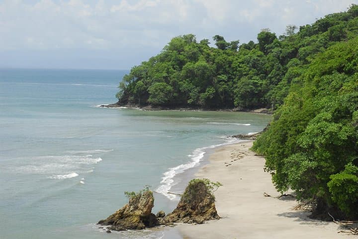 Tortuga Island Cruise from Puntarenas: Day Trip to Isla Tortuga photo 6