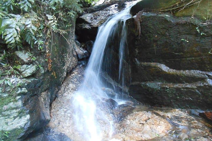 Horto Waterfalls: 5-Falls Walking Route in Tijuca Forest, Rio de Janeiro photo 6