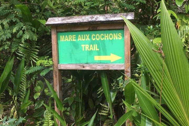 Mare aux Cochons Trail — Hike Mahe’s High-Altitude Wetland and Panoramic Viewpoints photo 3