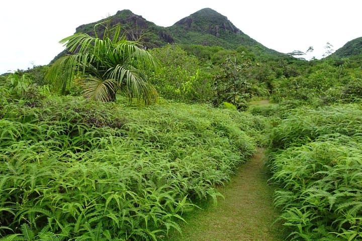 Mare aux Cochons Trail — Hike Mahe’s High-Altitude Wetland and Panoramic Viewpoints photo 6