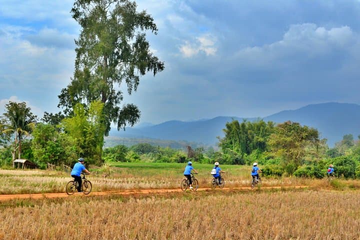 Overnight Mae Taeng Valley Cycling: Bua Tong (Sticky) Waterfall & Rural Trails photo 4