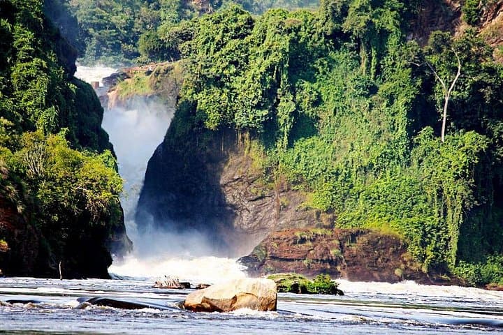 5-Day Murchison Falls & Kibale Chimpanzee Safari — Wildlife, Boat Cruise and Cultural Walks photo 4