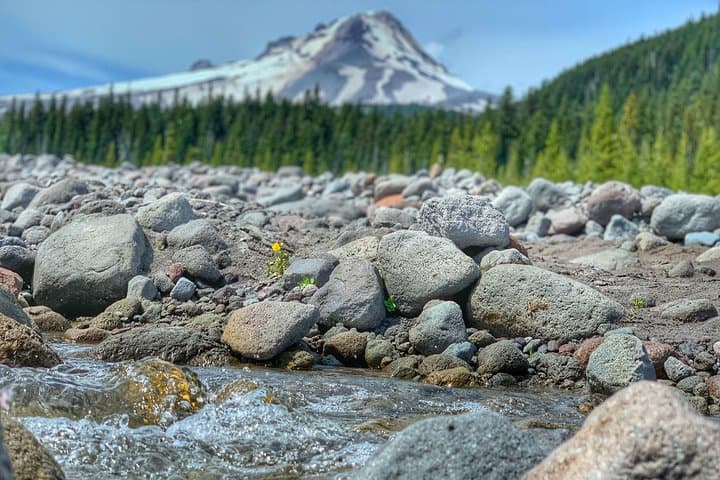 Exploring Mt Hood Day Trip: Multnomah Falls, Hood River & Columbia River Gorge Highlights photo 5