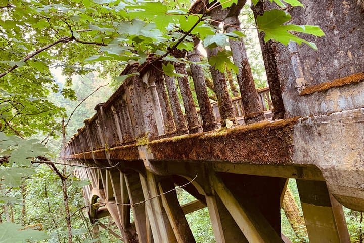 Full-Day Portland & Columbia River Gorge Tour — Multnomah Falls, Vista House and City Highlights photo 5
