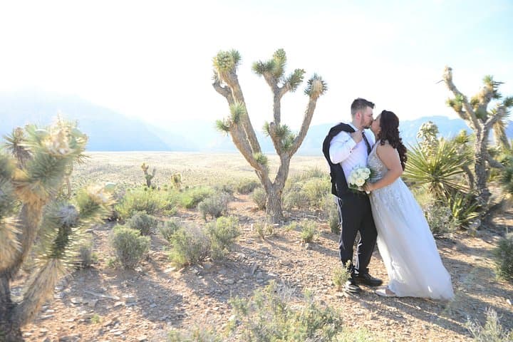Red Rock Canyon Elopement: Private Limousine Wedding in Nevada's Red Rocks photo 4