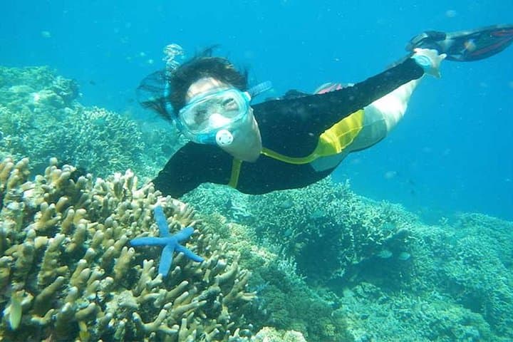Blue Lagoon Snorkel with Ubud Monkey Forest & Waterfall — Full-Day Tour from Ubud photo 5