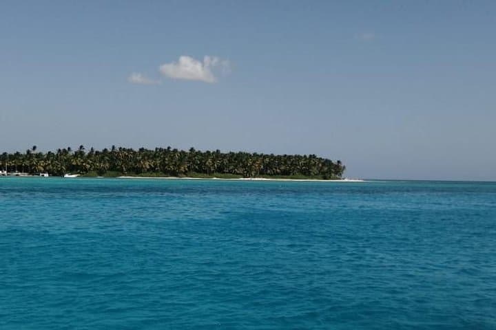 Saona Island Full-Day: Catamaran & Speedboat to the Natural Pool from Punta Cana photo 4