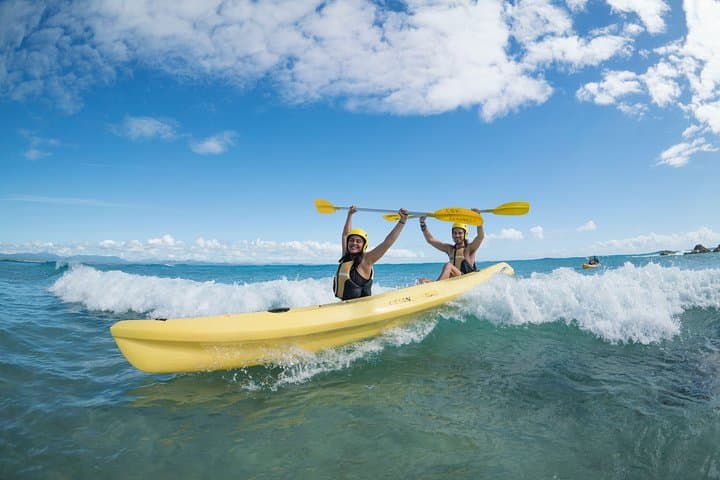 Kayak with Dolphins at Byron Bay — Guided Sea-Kayak Tour in Cape Byron Marine Park photo 5