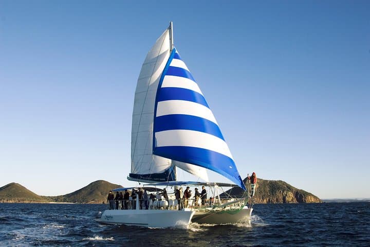 Sail with Port Stephens' Bottlenose Dolphins: 90-Minute Cruise Aboard 'Imagine' photo 2