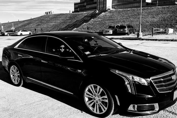 Chicago Sedan City Tour: 6-Hour Private Downtown Experience photo 3