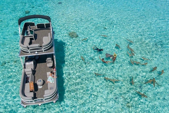 Private Bora Bora Lagoon Tour: Snorkel Rays & Sharks on a Boat with Slide photo 2