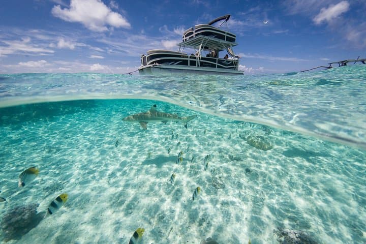 Private Bora Bora Lagoon Tour: Snorkel with Rays & Sharks, Lunch Included photo 4